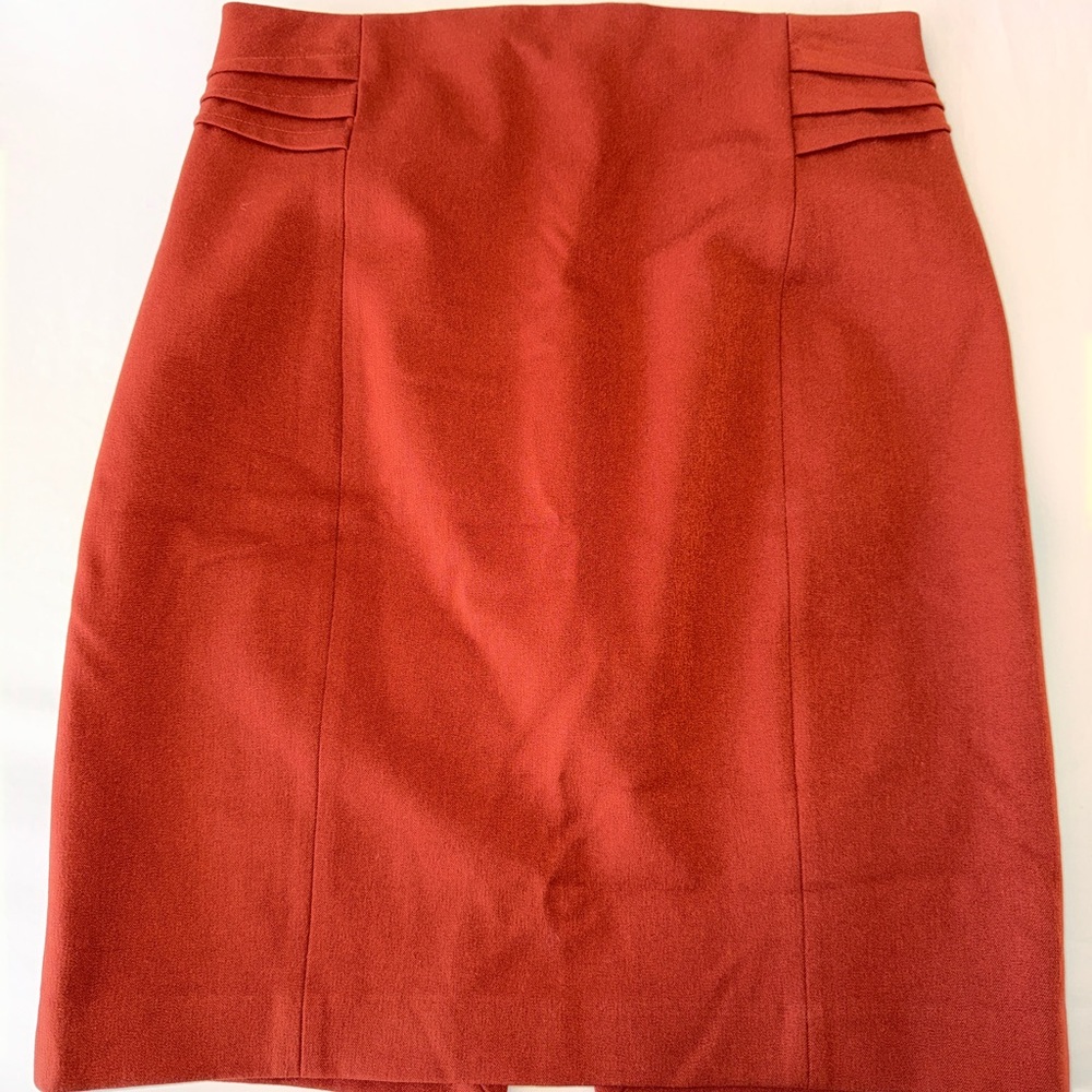 Elegant Rust Women's Skirt
